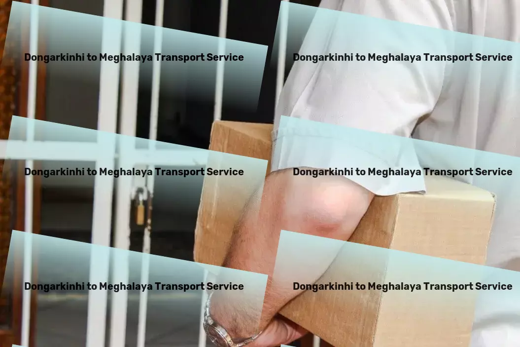 Dongarkinhi to Meghalaya Transport Full-service cargo transport