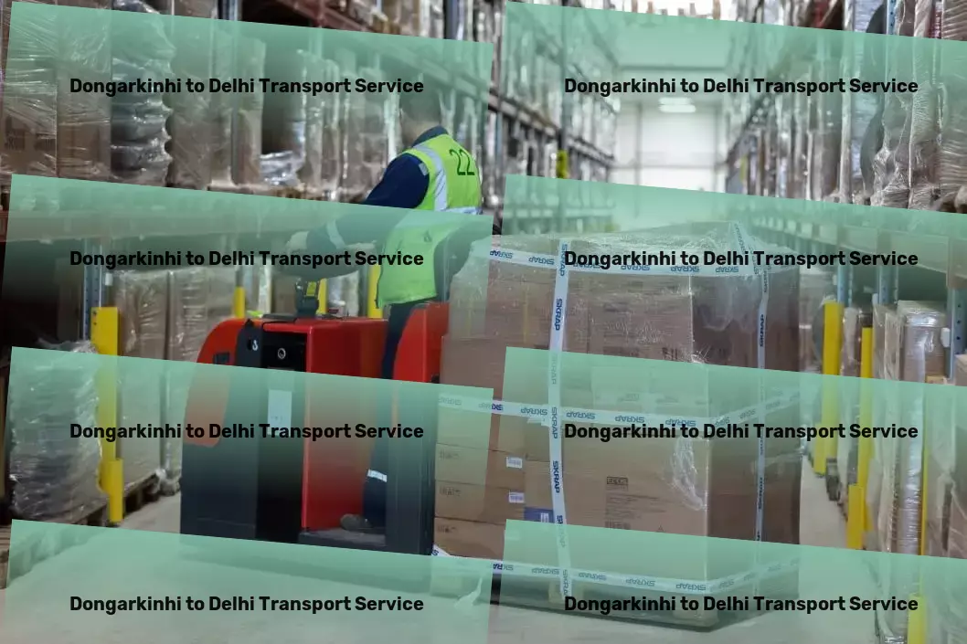 Dongarkinhi to Delhi Transport Comprehensive packer services