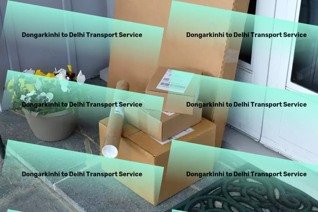 Dongarkinhi to Delhi Transport Efficient goods shipment solutions