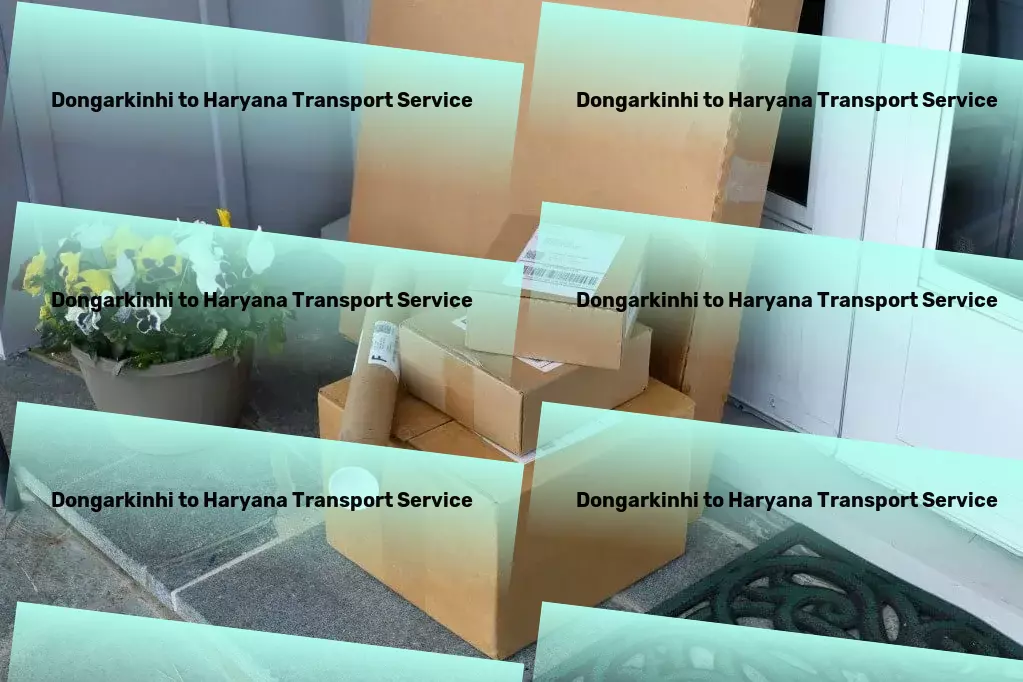 Dongarkinhi to Haryana Transport Door-to-door goods shipment