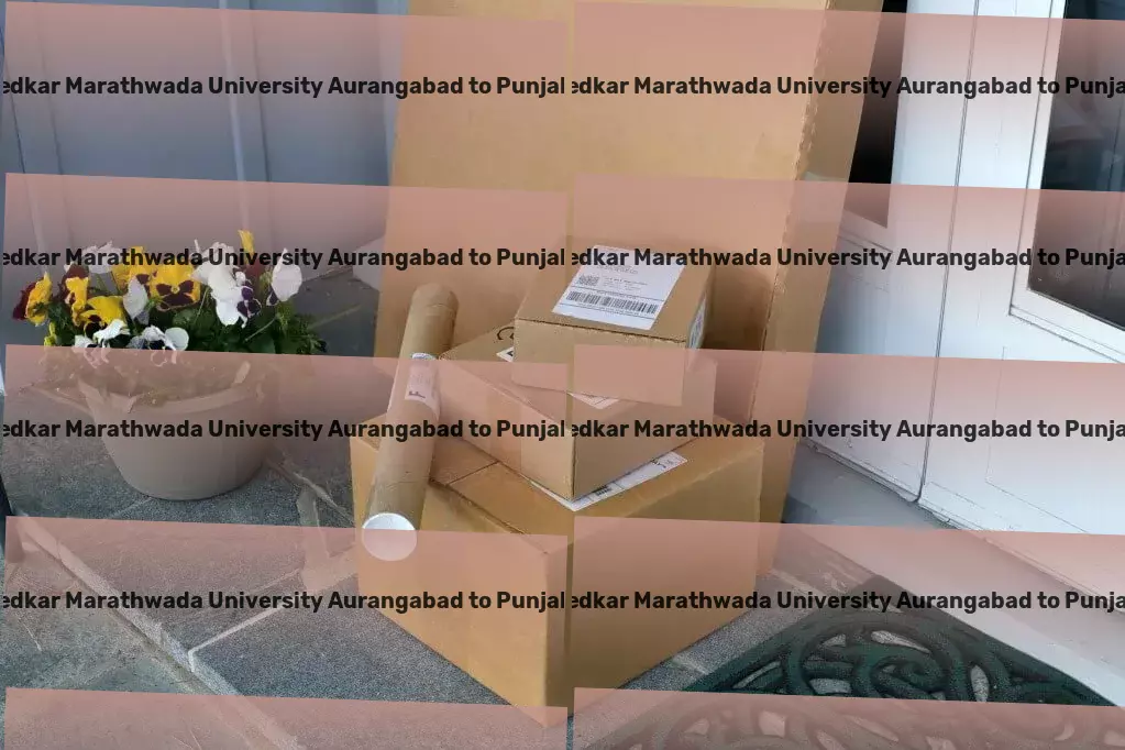 Dr Babasaheb Ambedkar Marathwada University Aurangabad to Punjab Transport Household item courier