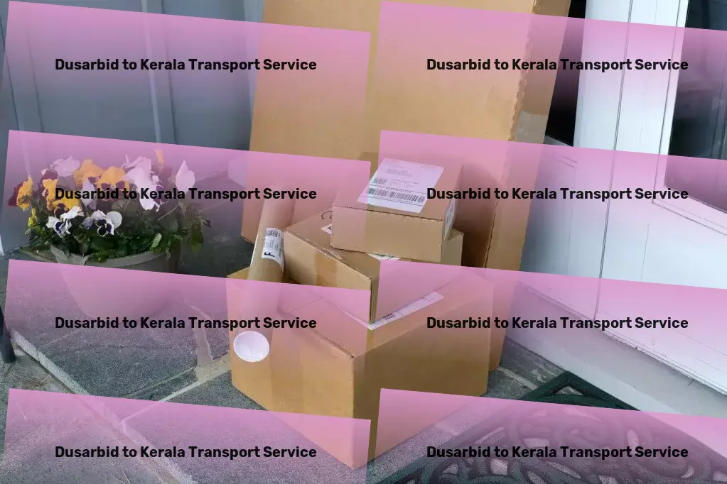 Dusarbid to Kerala Transport Nationwide distribution services