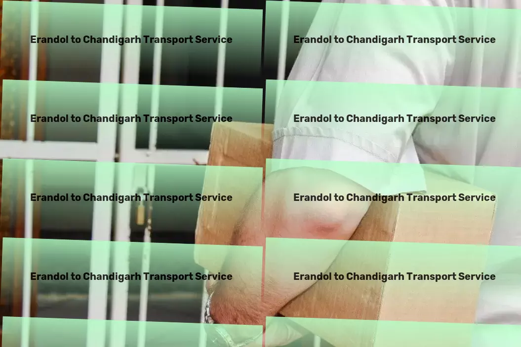 Erandol to Chandigarh Transport Specialized shipping services