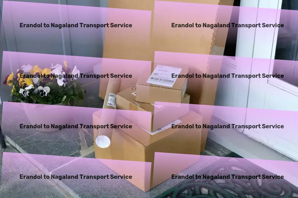 Erandol to Nagaland Transport Achieve logistic excellence with our services in India! - Customized cargo solutions