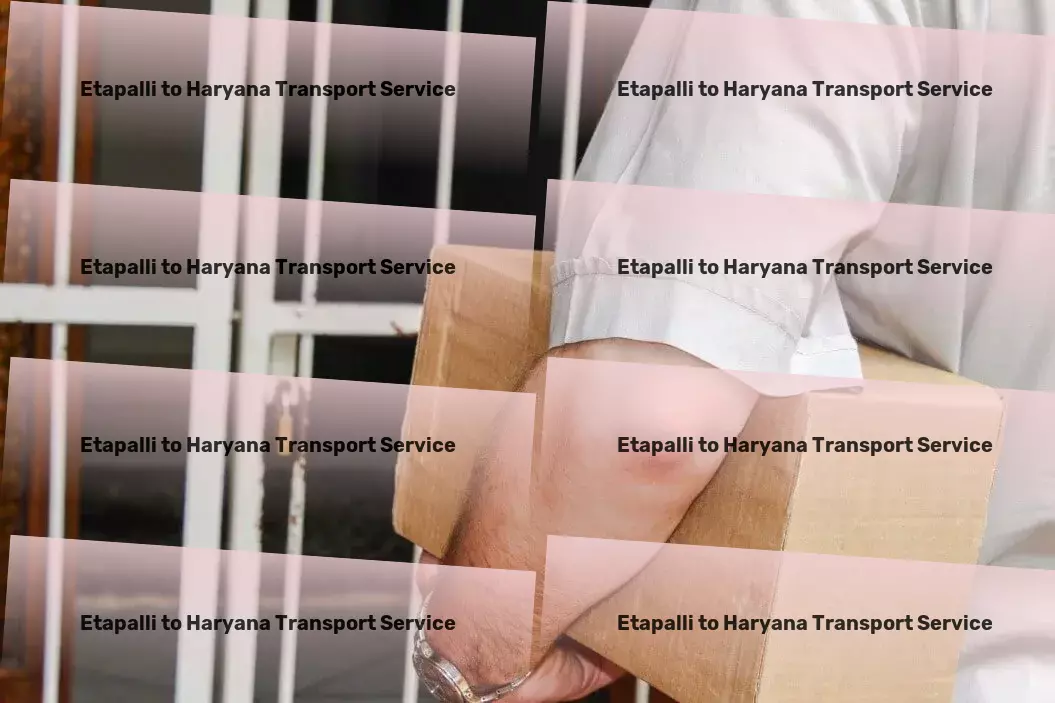 Etapalli to Haryana Transport Inter-modal freight services