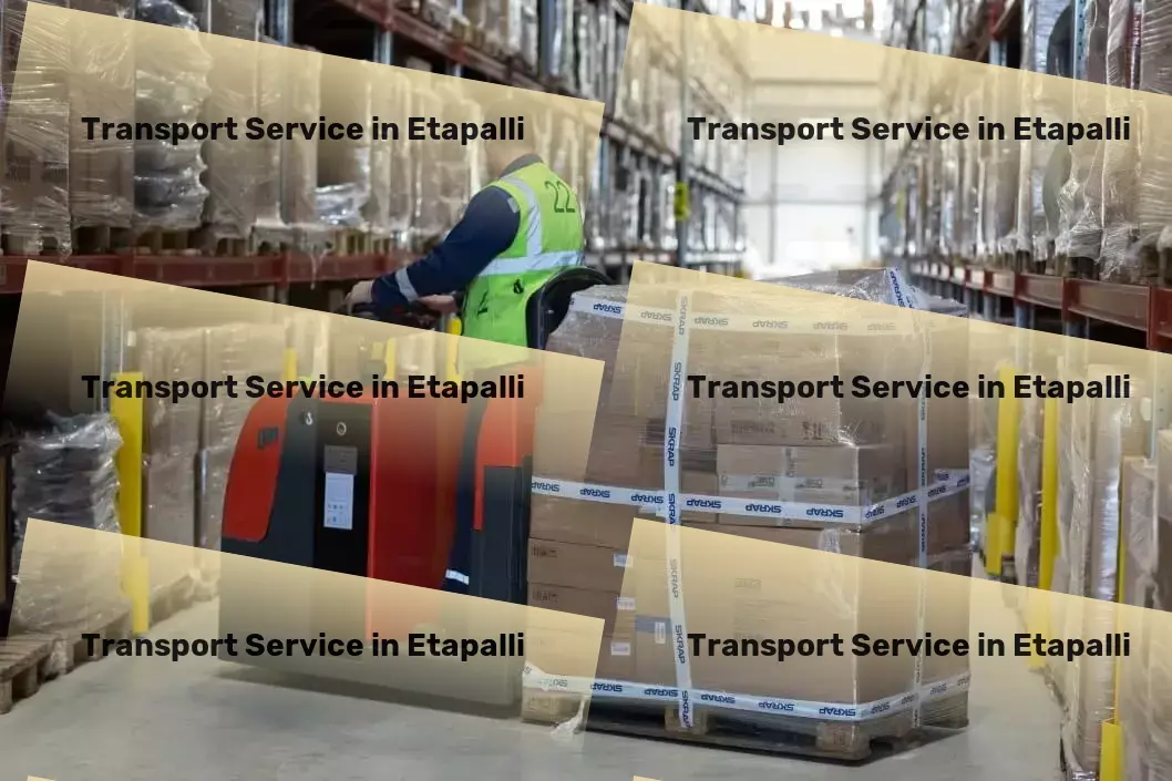 Luggage Courier in Etapalli, Maharashtra (MH) Furniture transport solutions