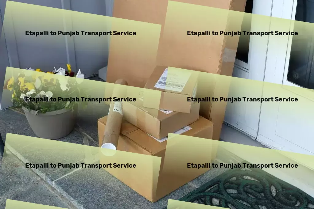 Etapalli to Punjab Transport Specialized transport solutions