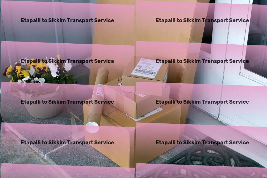 Etapalli to Sikkim Transport Full truckload shipping solutions