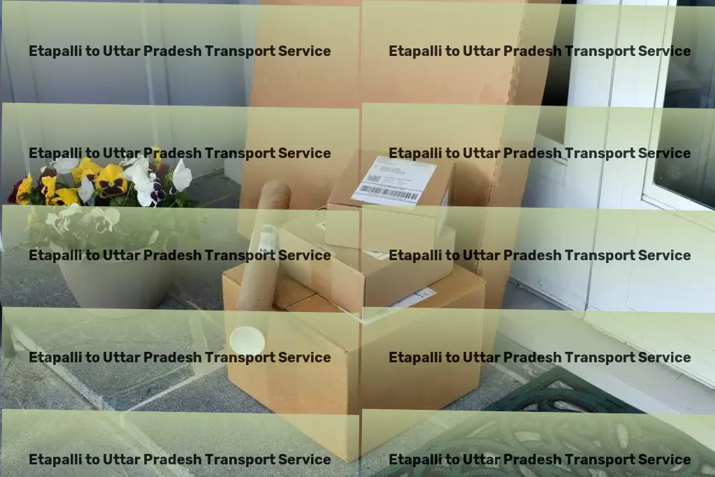 Etapalli to Uttar Pradesh Transport Customized goods shipment services