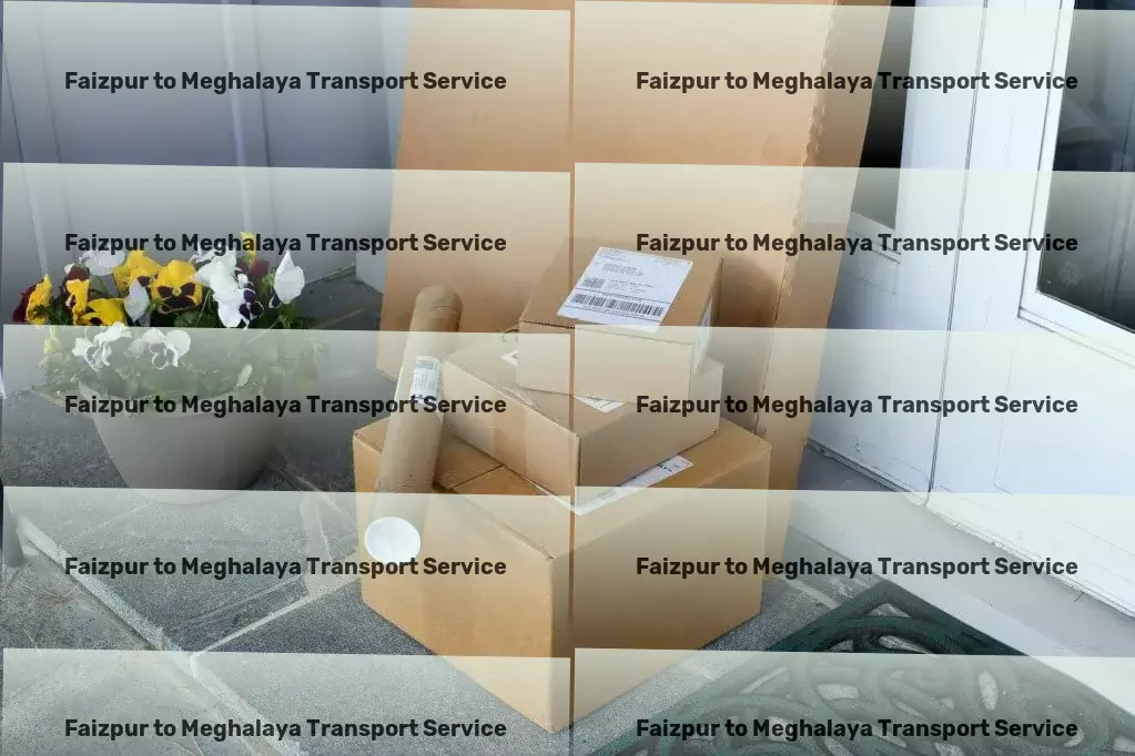 Faizpur to Meghalaya Transport Nationwide moving and shipment services