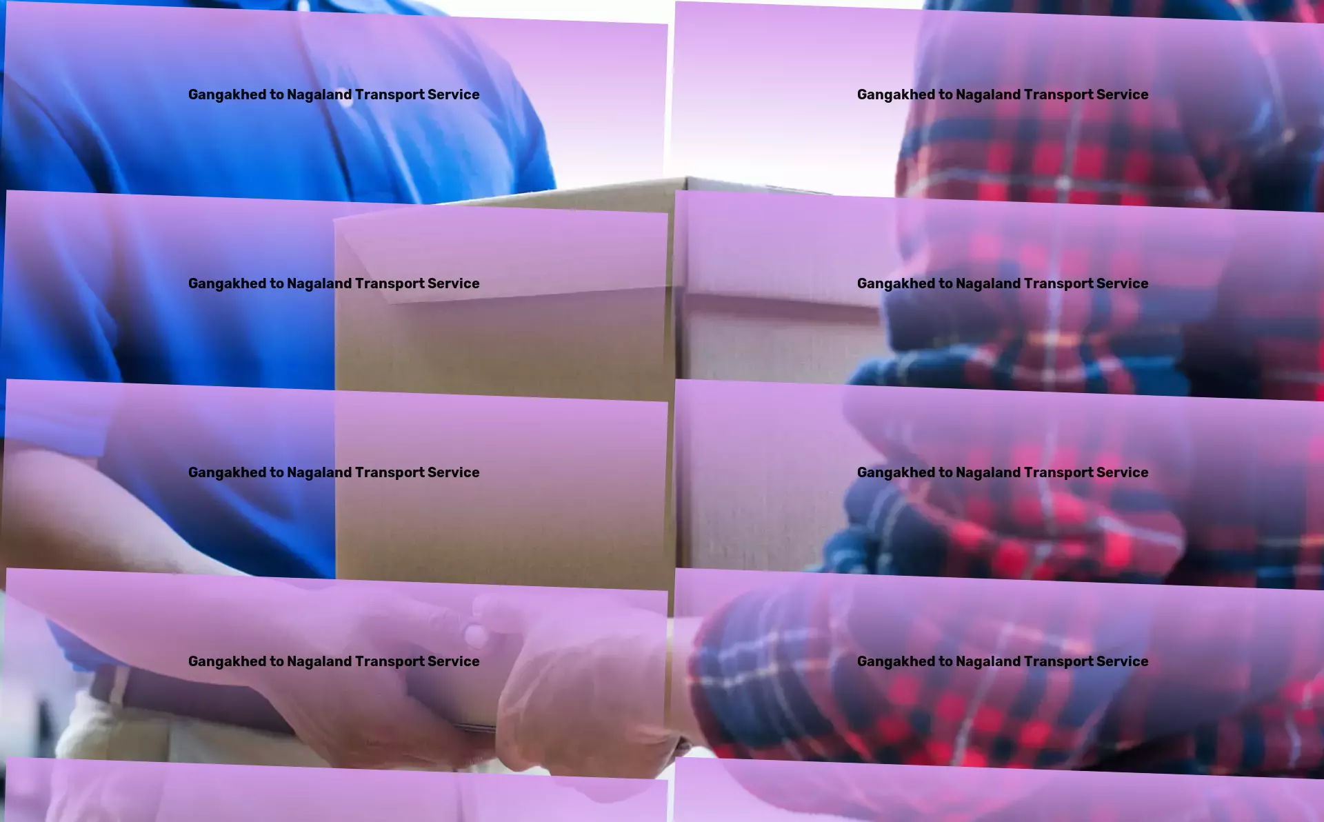 Gangakhed to Nagaland Transport Enabling businesses to reach their full potential with our Indian logistic solutions. - Nationwide courier