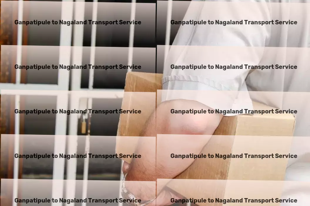 Ganpatipule to Nagaland Transport Specialized freight handling