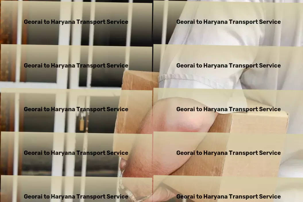 Georai to Haryana Transport Business freight services