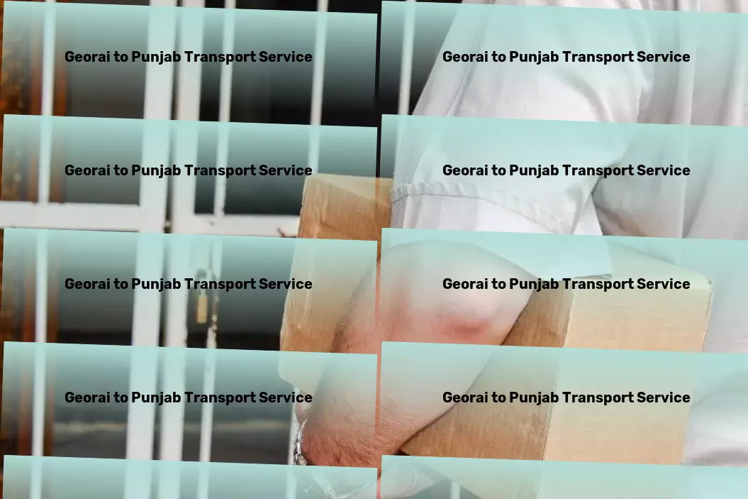 Georai to Punjab Transport Shipping logistics