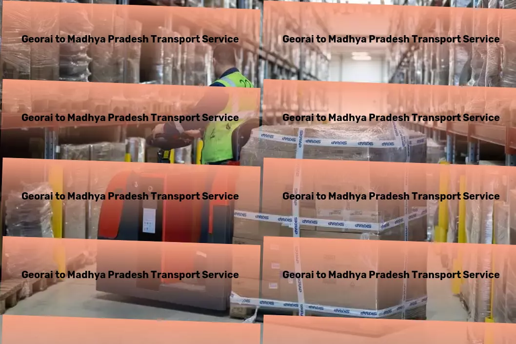 Georai to Madhya Pradesh Transport Express freight and shipment