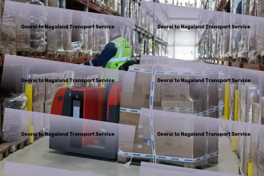 Georai to Nagaland Transport Efficient goods logistics